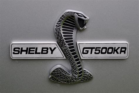 ford mustang shelby gt500 logo